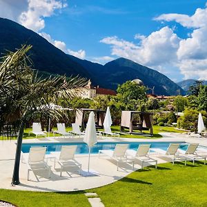 Hotel Traube